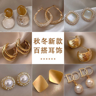 Autumn and Winter Retro Hong Kong Style Elegant Earrings Women's 2023 New Hot Style Internet Celebrity High-end Earrings Golden All-match Earrings