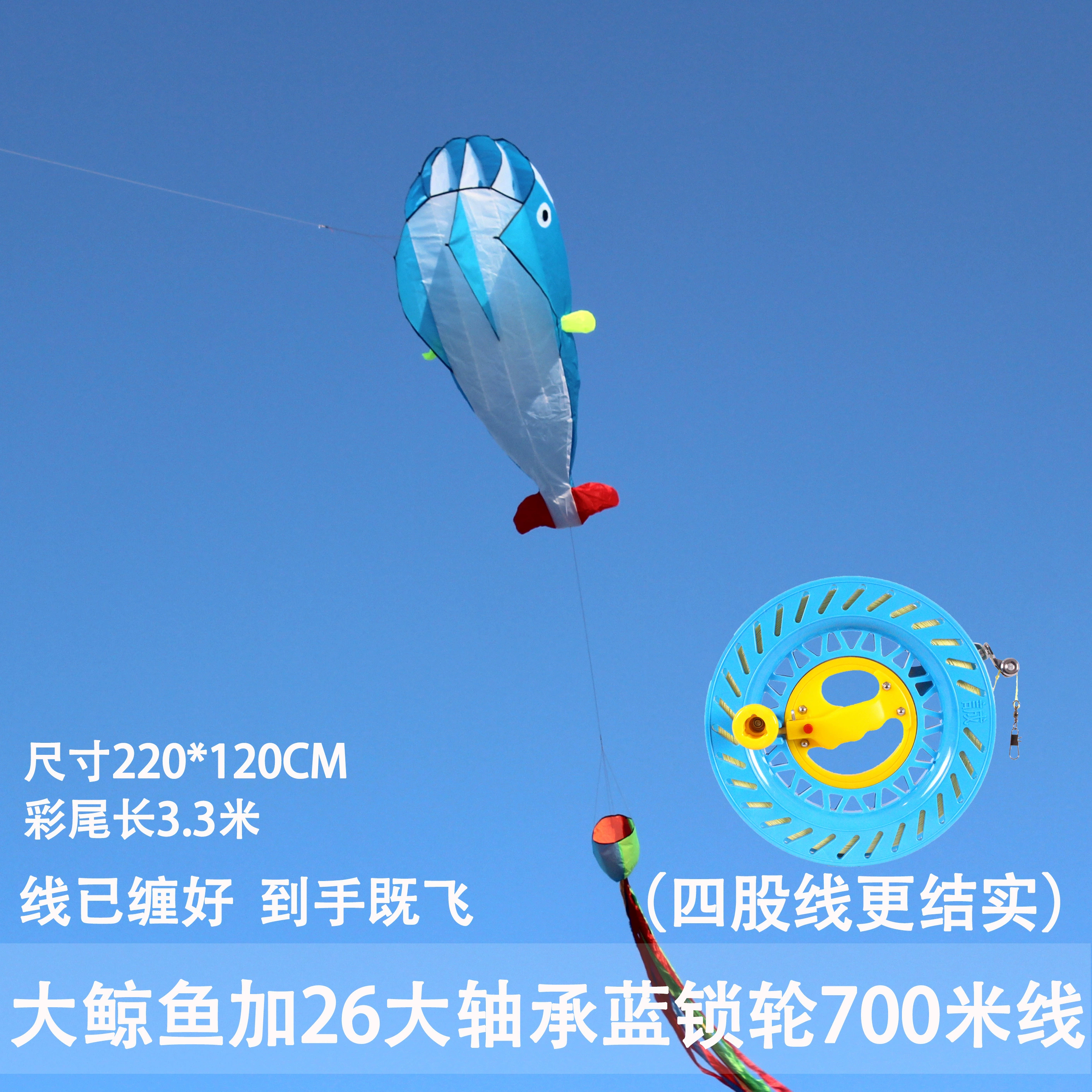 Kite for adults