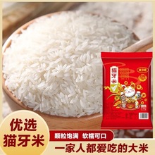 �L��؈��������5��ʮ����Ռ��ݰ��b�r�����l����һ��Ҳ�����l�r