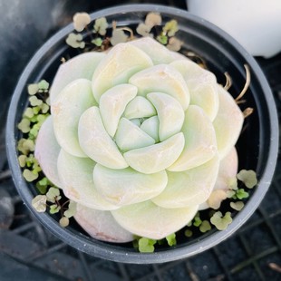 ����ֲ���ߴ�Gֲ���ܶ��� ĸ����ô��� ����@ˇ�����F؛����