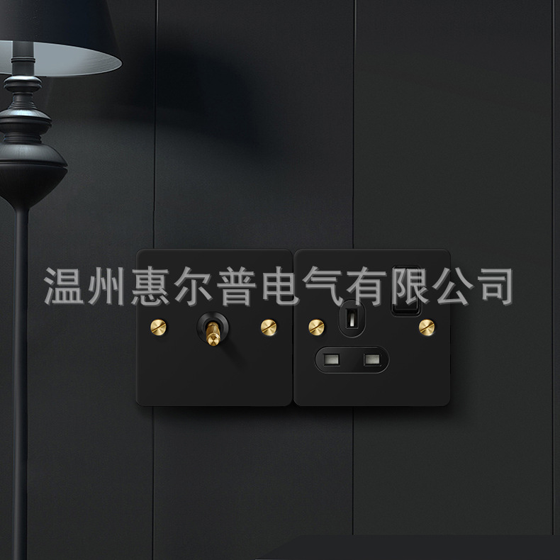 Mounted black retro switch key, light panel stainless steel