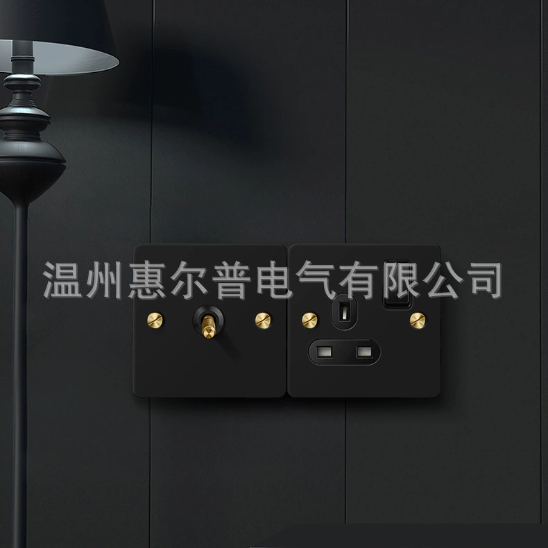 Mounted black retro switch key, light panel stainless steel