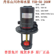 沈阳机床配件冷却水泵200W丹东山川220/380V三相电泵YSB-50电泵