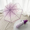 Korean version of umbrella umbrella folding cute cute goddess Han Guoxiao fresh and simple Mori three folds Japanese cherry blossom transparent umbrella