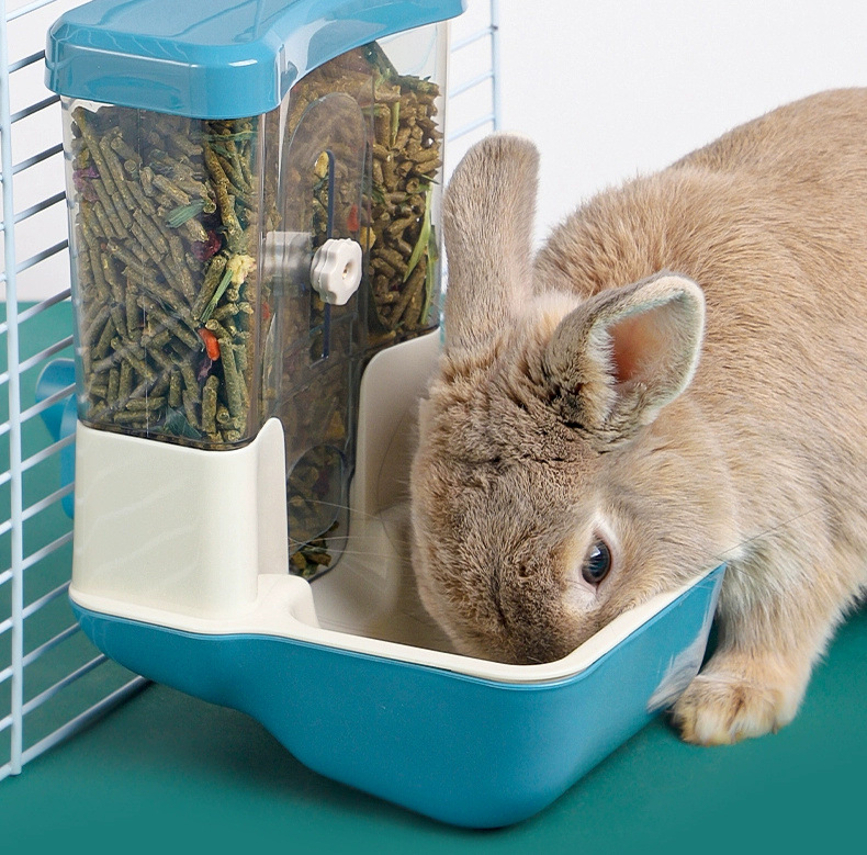 a02a0dca-9475-446d-9b61-c9a0d839b8a0.jpe