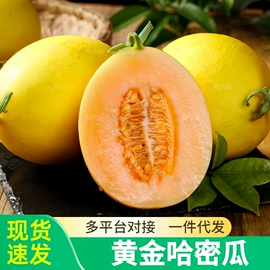 块茎类;苹果;梨