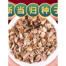 ���w�N�Ӹ��CẮ��w�N���݃��|�ĚW���w�N�Ѵ��ļ��Nֲ����