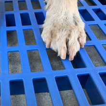 狗笼子里铺的垫子垫板底部塑料防分趾脚垫猫笼底网散热板踏板网格