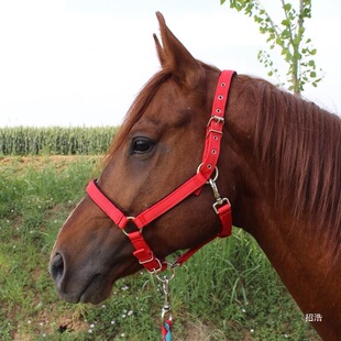 �R�\�״�СС�R�tɫ�{ɫ��ɫ�^��©���R�\�^ȫ�����R�R���R���R��