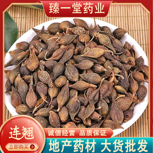 精选连翘1000克 中药材新货干精选无 连壳青翘落翘连壳青翘银翘-阿里巴巴