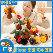 ��Ƥ�þGҰ��ۙ������ԾGֲ��żë�q������x�۷䱳�����������