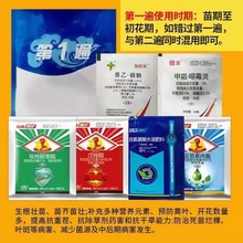 花生高产套餐 三遍药 白绢病防死棵不落叶防早衰控旺下针药