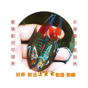 �Ї����~ ���� ��ͥ�^�p�~ ��ˮ�~ �����~ ���_�~ �ֽ� ���~��