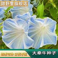 ��ţ���N�����Ȼ��󻨶����ٻ��Ѽtɫ��ţ�҃��ⲥ�N���˻��N��