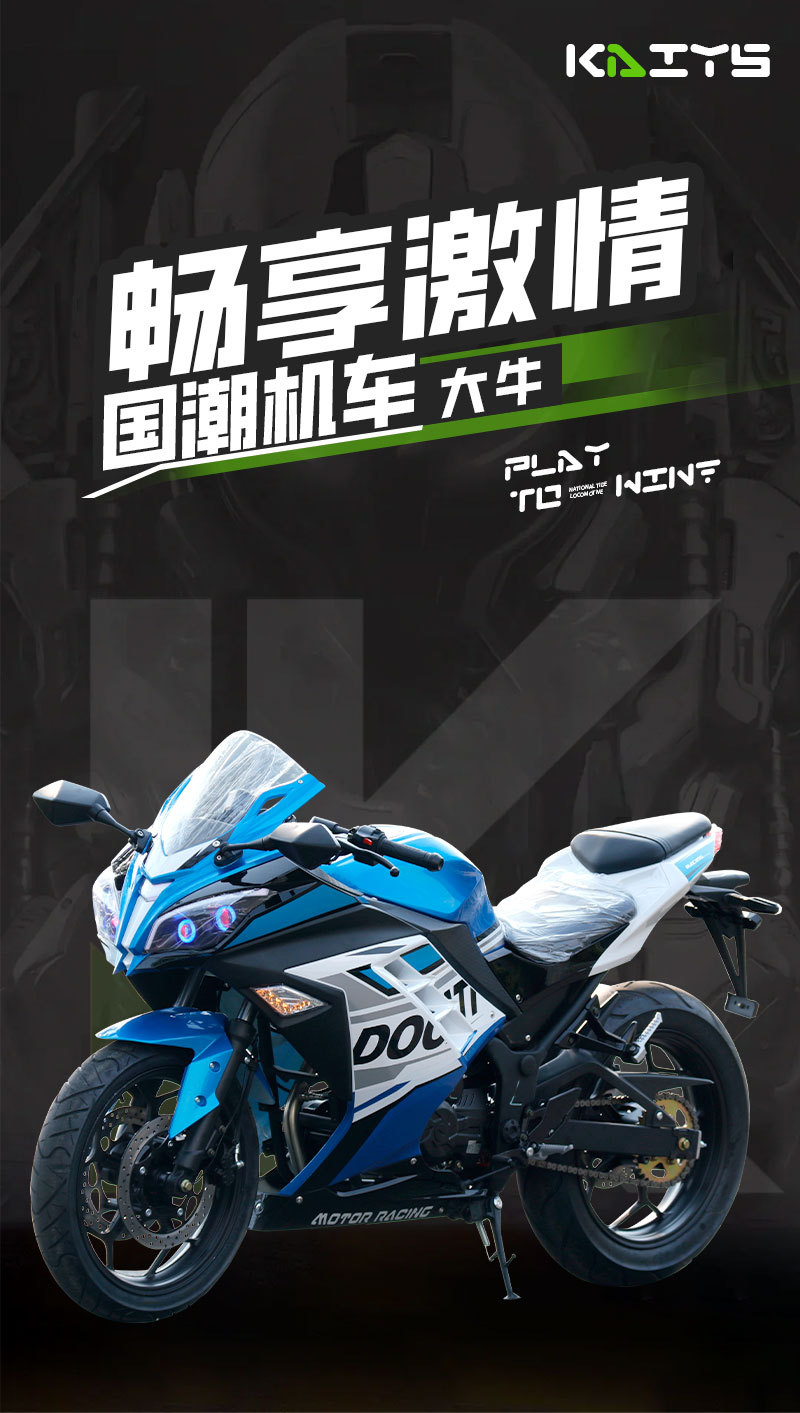 Daniu Motorcycle Sports Car National Four Efi Single-Cylinder Racing Motorcycle Fuel Motorcycle High-Speed Adult Motorcycle Export