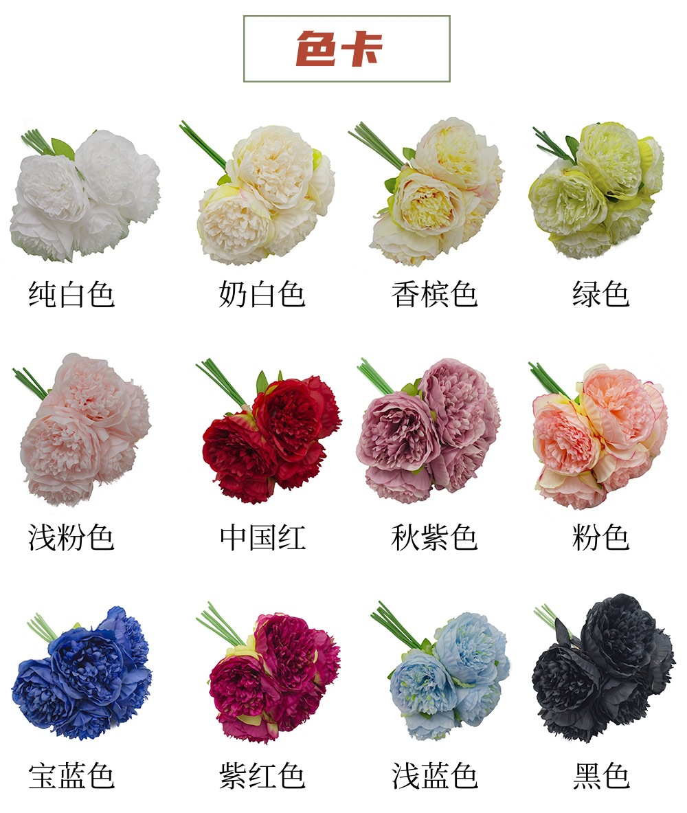 色卡.jpg