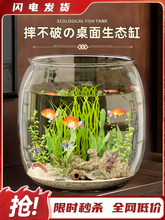 �~�����B�׿͏dС��2025�¿������^�p���ψA��һ�w���ͷ²�����ˤ