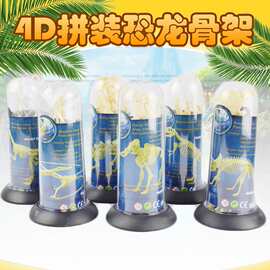 跨境新品4D拼装恐龙骨架模型考古挖掘恐龙架益智儿童男孩玩具批发