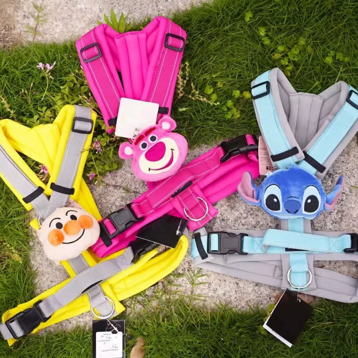 Маленькие собаки милые нагрудные ремни выходят на улицу