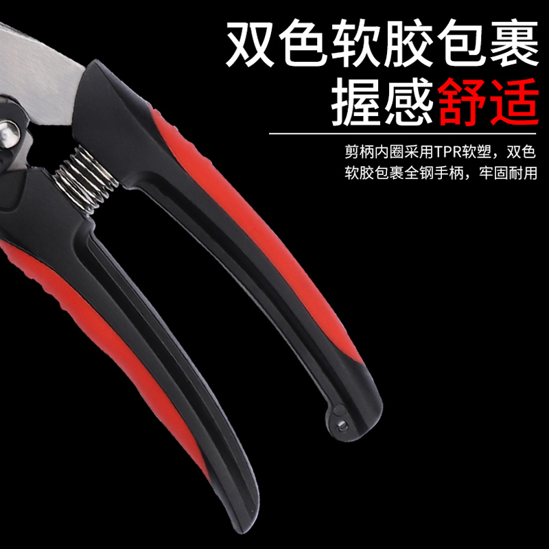 독일 수입 과일 나무 가지 치기 가위 스테인레스 스틸 가정용 가위 가위 가지 치기 가위 꽃 가위 상수