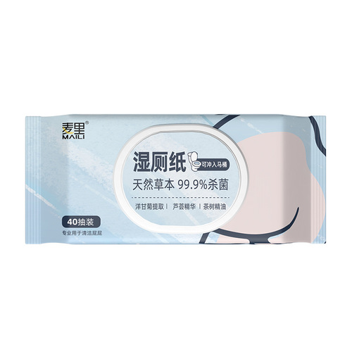 Wholesale household 40 dehumidifying toilet paper wet wipes wet wipes flushable wet wipes soft cleaning care wet toilet wipes