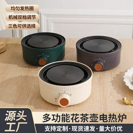 电热杯;电热水壶;养生壶