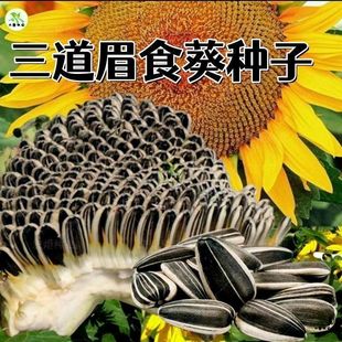 �����ѷN����������ü������üʳ�����^�����ѹ���ë����տ�