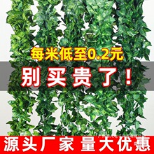 �ٗl�Gɫֲ���ٗl�ܵ��b��ړ��Gֲ�l�����b�������