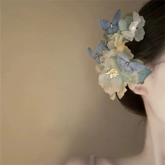 かすかな雲は夢のようです。