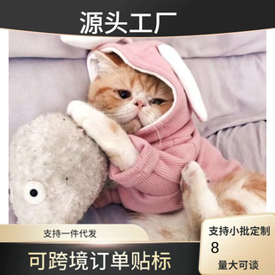 �ö�����l�¹�������̩�Ϸ���؈���·�����С؈�䴺�����b