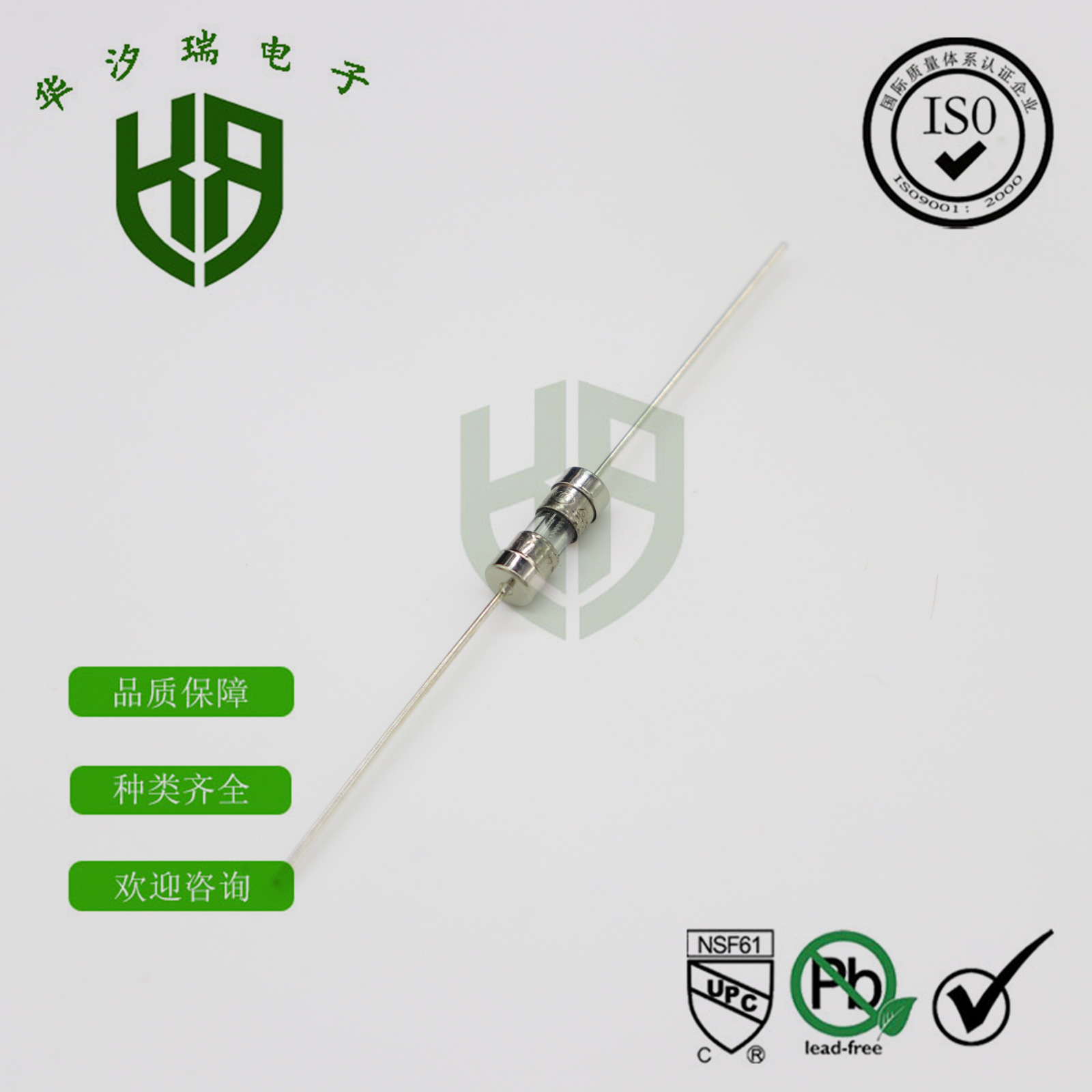 3.6X10MM 双帽保险管 T1AL250V 带引脚 3X10MM 慢段型 玻璃保险丝