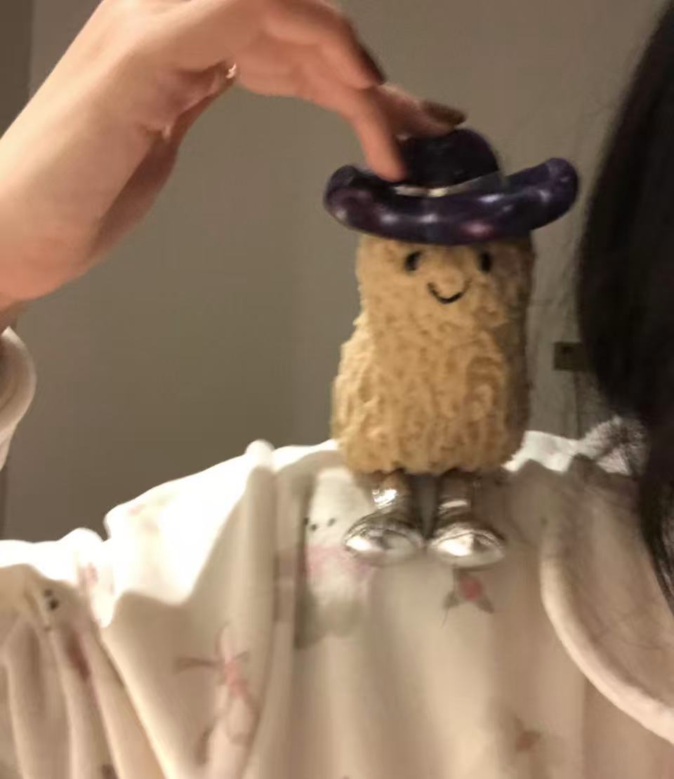 コレクション1;