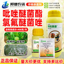 ��˹���J�չ���40%�ȷ���&middot;�������׷۲�̿�Ҳ������~�߲�������
