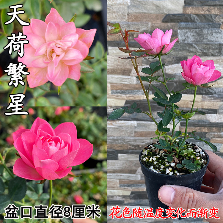 ��������2