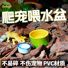 爬宠 幼体蜘蛛蝎子水盆 瓷盆 竹子水盆 蟋蟀水盂 爬虫水槽
