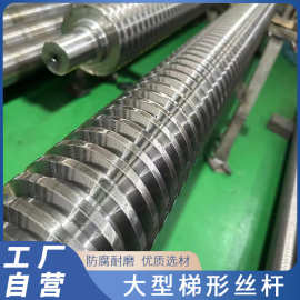 工厂加工不锈钢大型梯形丝杆全螺纹粗丝螺杆TR双头车间丝杠直发