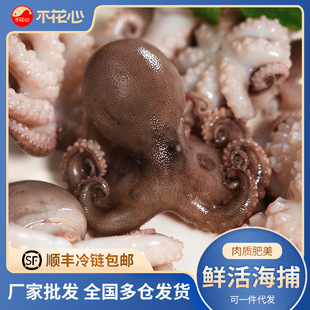 �����ľ�ƷС���~300g�����צ�~���r�������r���l���ÏS��ֱ�l