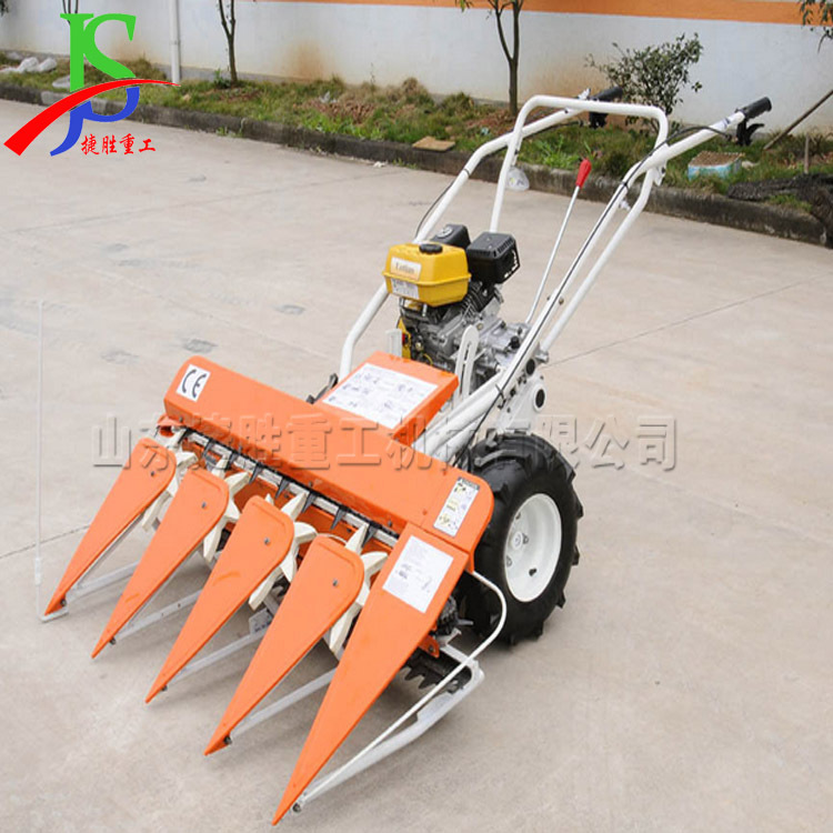 Máquina de corte y secado de arroz tipo empuje manual maíz maní cortador y secador de gasolina móvil cosechadora de arroz