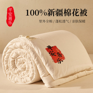 Class A Cotton 100 Xinjiang Cotton Quilt Thickened Winter Quilt Spring and Autumn Cotton Quilt Core Air Conditioning Summer Quilt Pad Breathable Quilt