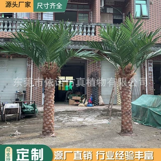 仿真墨藻树海枣树 大型人造棕榈树 室内外景区园林景观假树可定制