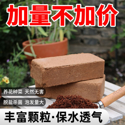 Coir Brick Nutrient Soil Low Salt Coco Fiber Planting Flowers Vegetables General Type Cattle Sheep Manure Fertilizer Peat Soil Gardening