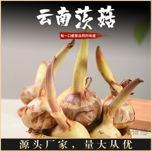 ��ϰ״Ĺ��������r�߲�ܛŴ����a�جF�ڬF�lֱ���r�ڮa��ֱ��