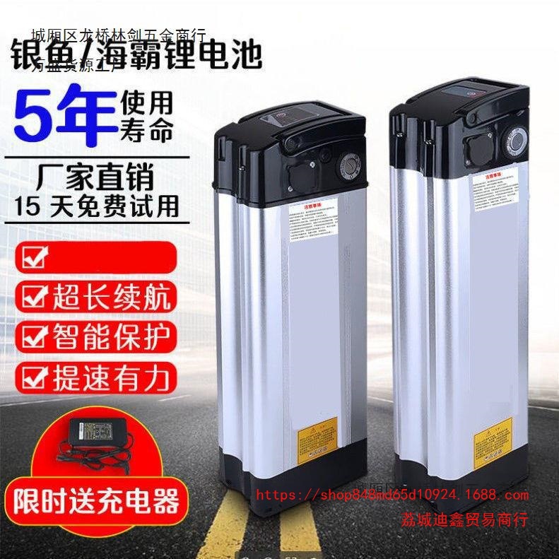 批发48V锂电池10A12A银鱼款海霸款规格60v15a锂电池48v25ah代驾电