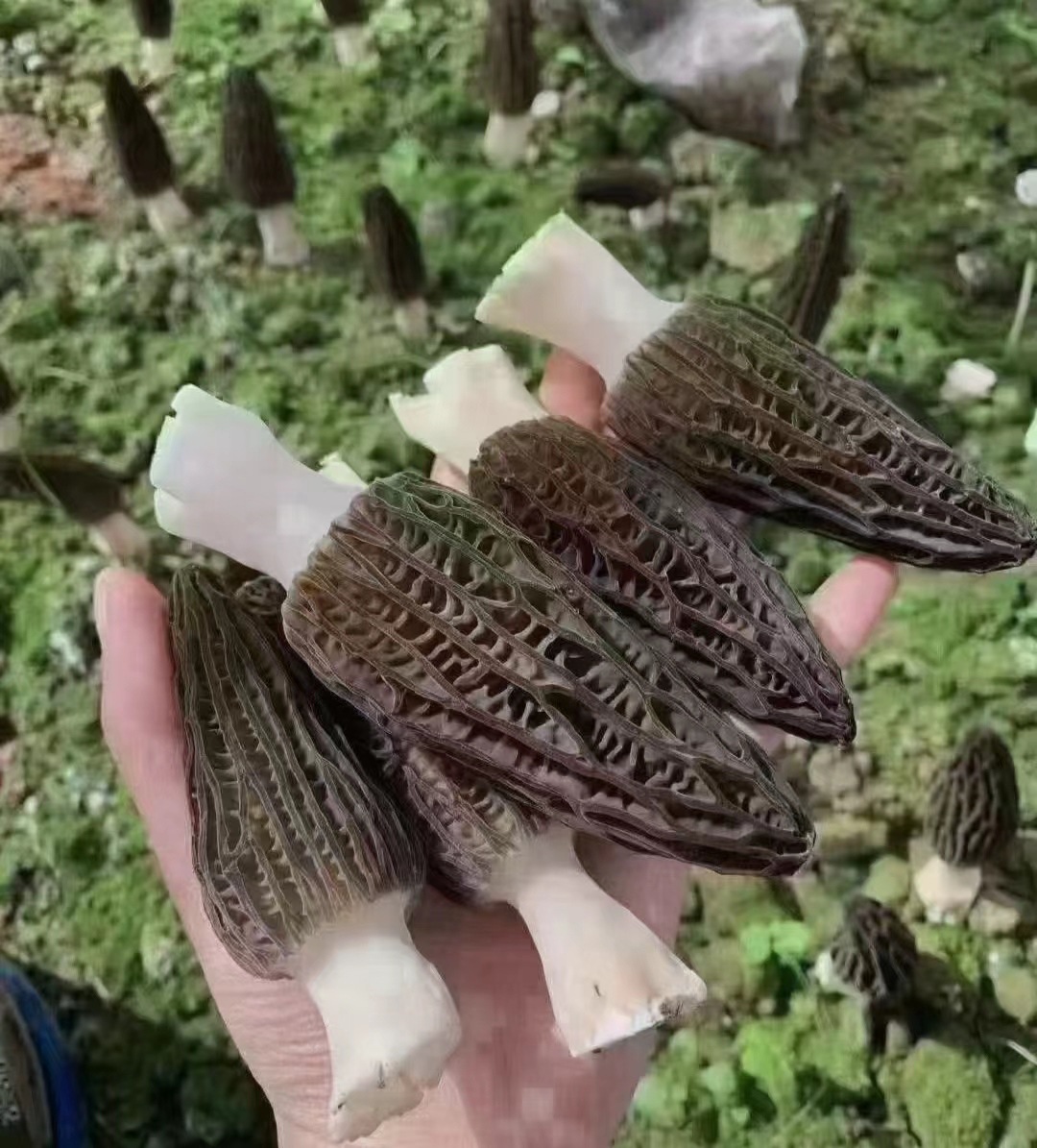 8256248de83f857f2f49909ebfd209