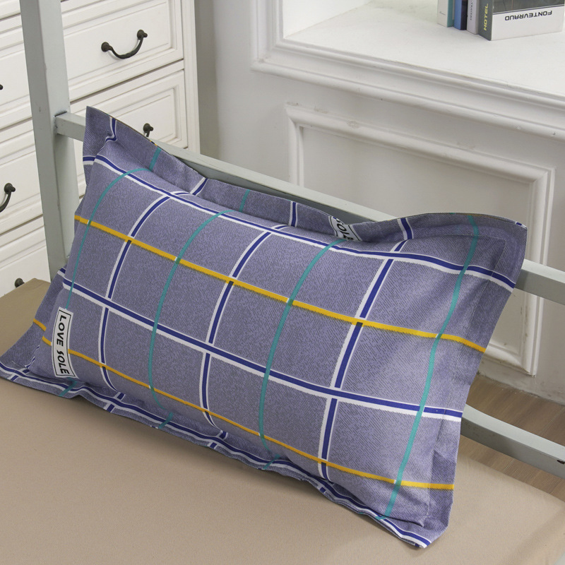 College students dormitory three-piece winter temporary worker bag check-in multi-piece pillow mattress winter quilt