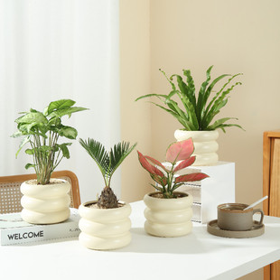 ���Wins�Gֲ�҃���������С�[���͏d�k���Һ��B�lؔ�䵓ֲ�ﻨ��