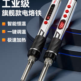 德力西电烙铁家用小型专业级焊锡枪焊接神器带开关电洛铁维修套装