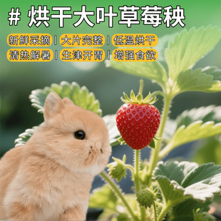 ��ɲ�ݮ�~�Ӳ�ݮ��������ʳ��؈���m�i�����������_θ��������