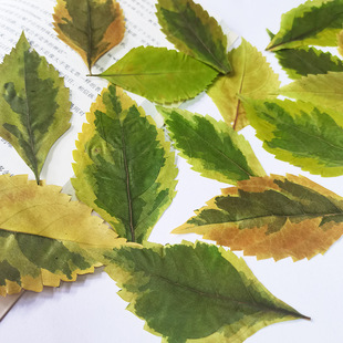 ����~�׃��@�������߅�S��������߭h���ɻ��H���ֹ�����