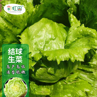 �����Y�����˷N�Ӵ����ﶬ�ļ��̨��Y�����˷N�Ѵ�����һ�����l